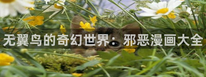 51漫画首页入口