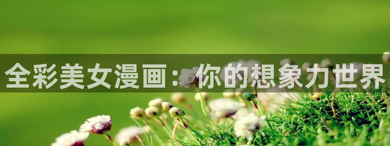 51漫画无：全彩美女漫画：你的想象力世界
